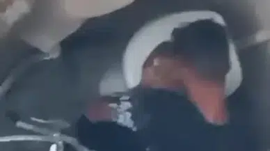 Tavuğa cinsel istismar şüphelisi tutuklandı 