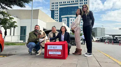 Hayvanseverlerden sokak köpekleri için bakanlığa 257 bin imza