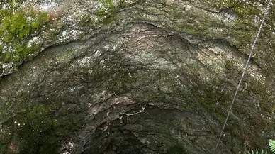 Zonguldak’ta kayıp keçi 17 metre derinliğindeki kuyuda bulundu