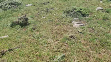 Tokat'ta yıldırım isabet eden kişi öldü