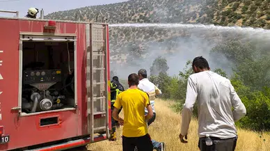 Nusaybin’de bahçede çıkan yangın, ormana sıçradı/ Ek fotoğraflar 