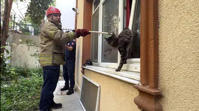 İstanbul - Avcılar’da pencerede sıkışan kediyi itfaiye kurtardı
