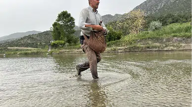 Çorum'da Kızılırmak çevresindeki bereketli topraklarda çeltik mesaisi başladı