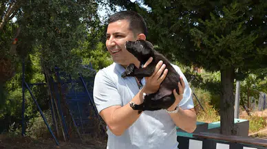 'Her canlı için yaşam hakkı kutsaldır'