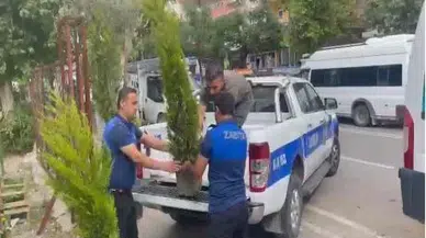 İş yeri önündeki dut ağacını kesen esnafa 10 fidan hibe etme cezası verildi