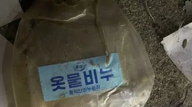 Kuzey Kore, Güney Kore’ye onlarca çöp dolu torba taşıyan balon yolladı 