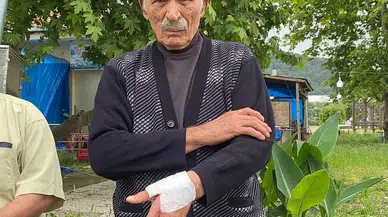 Zonguldak'ta köpek saldırısına uğrayan yaşlı adam şikayetçi oldu