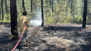 İSTANBUL- Pendik'te orman yangını büyümeden söndürüldü