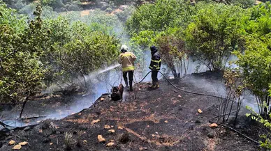 Mardin'de bahçede çıkan yangın ormana sıçradı