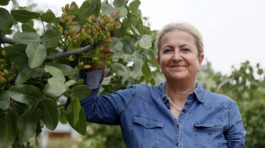 Antalya'nın kurak ve atıl arazileri, Antep fıstığıyla hayata döndü