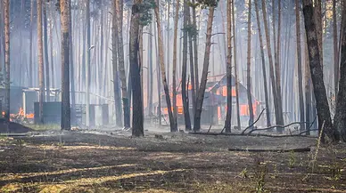 Harkiv’de bombardıman sonucu orman yangını