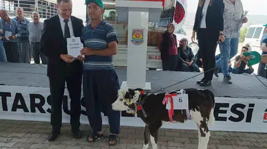 Mersin'de en güzel buzağı ‘Selvinaz’ 