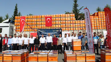 Batman'da 66 üreticiye 594 kovan dağıtıldı