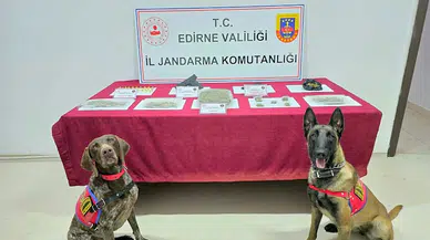 Edirne’de 500 gram skunk ele geçirildi 