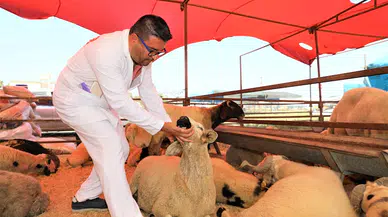 Yüreğir’de kurban satış ve kesim yerleri belirlendi