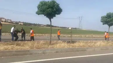 Yolun karşısına geçerken otomobil çarpan çoban, öldü