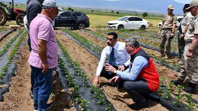 İslahiye Kaymakamı, biber fidesi ekimi yaptı
