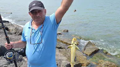 Giresun'da amatör balıkçı, oltasına takılan karaca mersin balığını yeniden denize bıraktı