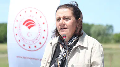 Samsun'da 8 farklı bitki çeşidinin ekildiği merada kuzu kilogramında artış sağlandı 