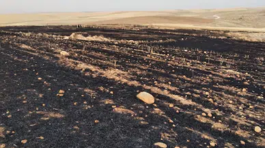 Diyarbakır’da 70 dönüm arpa ekili tarla yandı