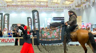 İstanbul - Atlar güzellik yarışmasında boy gösterdi; kalp krizi geçiren at öldü