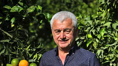 'Dünyada portakal krizi varken Finike'de ağaçlar sökülüyor'