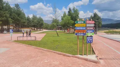 Bucak'ta Millet Ormanı açıldı