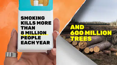 DSÖ: Her yıl 8 milyon insan tütün kullanımından hayatını kaybediyor