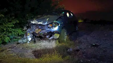 Kontrolden çıkan otomobil, portakal ağacına çarptı: 1 yaralı