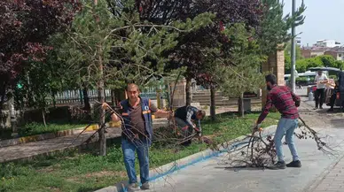 Oltu'da Bahara Hazırlık Kapsamında Yürüyüş Yolu Budandı ve Temizlendi