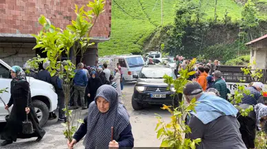 Çamlıhemşin'de fidan dağıtımına yoğun ilgi