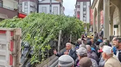 Çaykara'da vatandaşlara 5 bin meyve fidanı dağıtıldı
