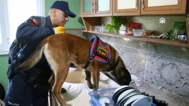 Rize'de 11 suçtan aranan hükümlü mutfak tezgahının altındaki gizli bölmede yakalandı