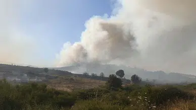 Foça'da eski çöp döküm alanında çıkan yangın makiye sıçradı