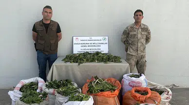 Hakkari soğanlarını İran'a kaçırmak isteyen 3 kişiye 1 milyon 161 bin TL ceza