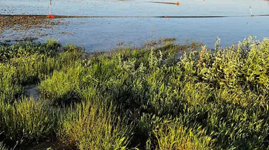 Kayseri'de dolu, tarım alanlarına zarar verdi