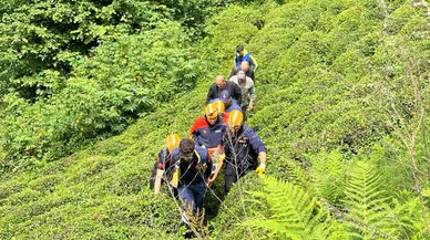 Rize'de kestiği ağacın altında kalan kişi yaralandı