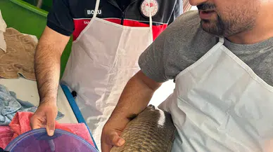 Bolu'da "Su Kaynaklarının Balıklandırılması" projesi sürüyor