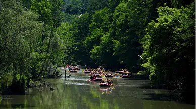 Hava sıcaklığının 30 derece ölçüldüğü Düzce'de maceraseverler rafting yaparak serinledi