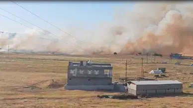 Mardin'de 120 dönüm arpa ekili arazi yandı