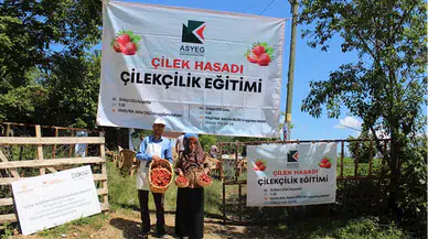 Samsun'da çilek yetiştiriciliği eğitimi düzenlendi