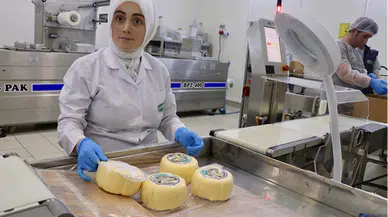 TKDK desteği ile kurulan işletmede günde 30 ton süt işleniyor