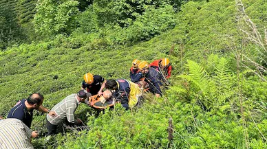 Kestiği ağacın altında kalıp yaralandı