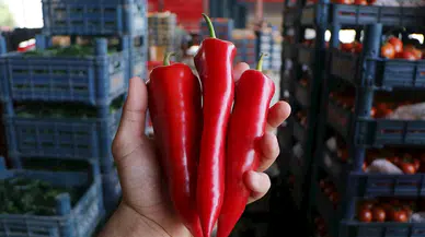 Tarlada kilosu 15, halde 20 lira olan kapya biber, markette 80 lira