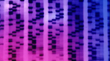 Bilim insanları prostat kanserinde erken teşhis için tükürük testi geliştirdi