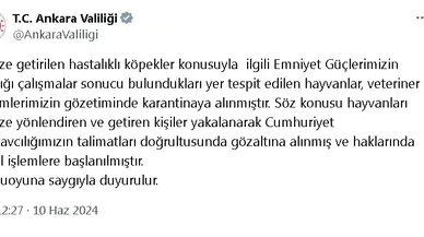 Ankara Valiliği, hasta köpeklerin kente getirildiği iddiası üzerine harekete geçti (2)