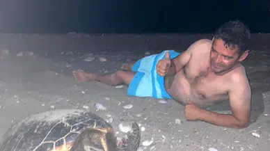 Seyyar satıcı, sahilde gördüğü deniz kaplumbağası yuvalarını korumaya aldırdı