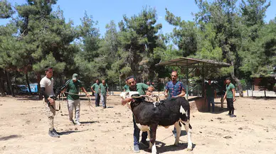 Gaziantep'te 'Kurban Yakalama Timi' son tatbikatını gerçekleştirdi