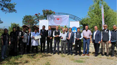 Bartın ve Karabük'te kahverengi kokarca zararlısına karşı 4 bin samuray arısı salındı