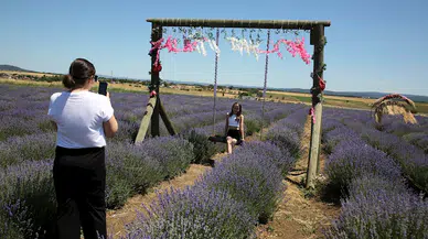 Edirne’de mor renkli lavanta tarlalarında ziyaretçi yoğunluğu
